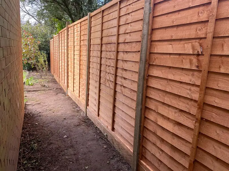 A run of new overlap fence panels fixed to concrete posts along a garden boundary