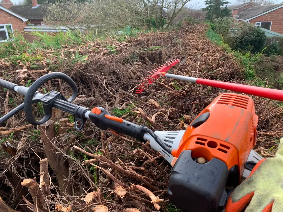 A long reach hedge trimmer and rake laid across a cleared conifer hedge line mid job