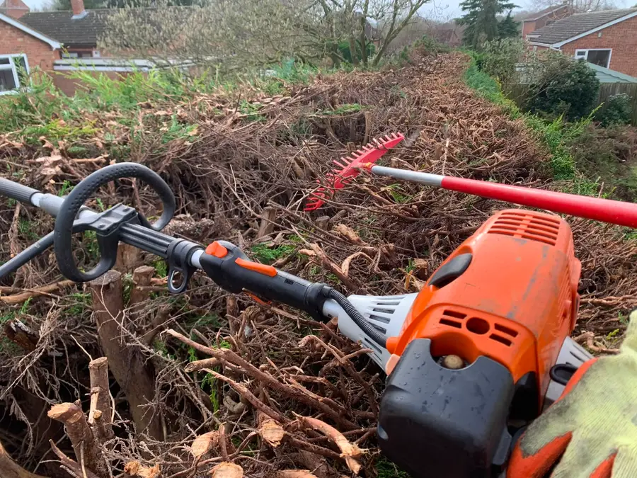 A long reach hedge trimmer and rake laid across a cleared conifer hedge line mid job