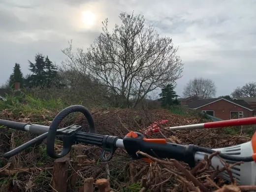 A long conifer hedge cut back to the stumps, with a long reach hedge trimmer resting across the cuttings