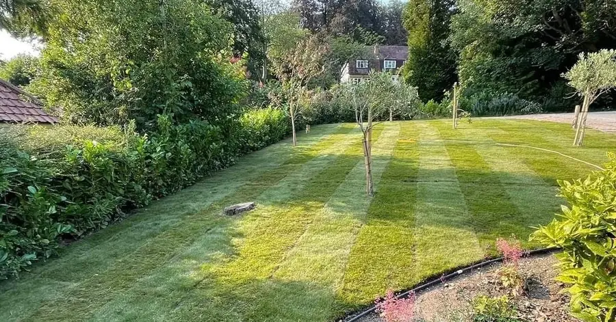 Striped lawn with young fruit trees and planted borders in a large country garden