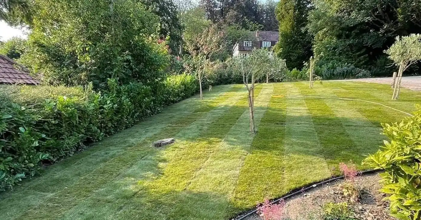 Striped lawn with young fruit trees and planted borders in a large country garden