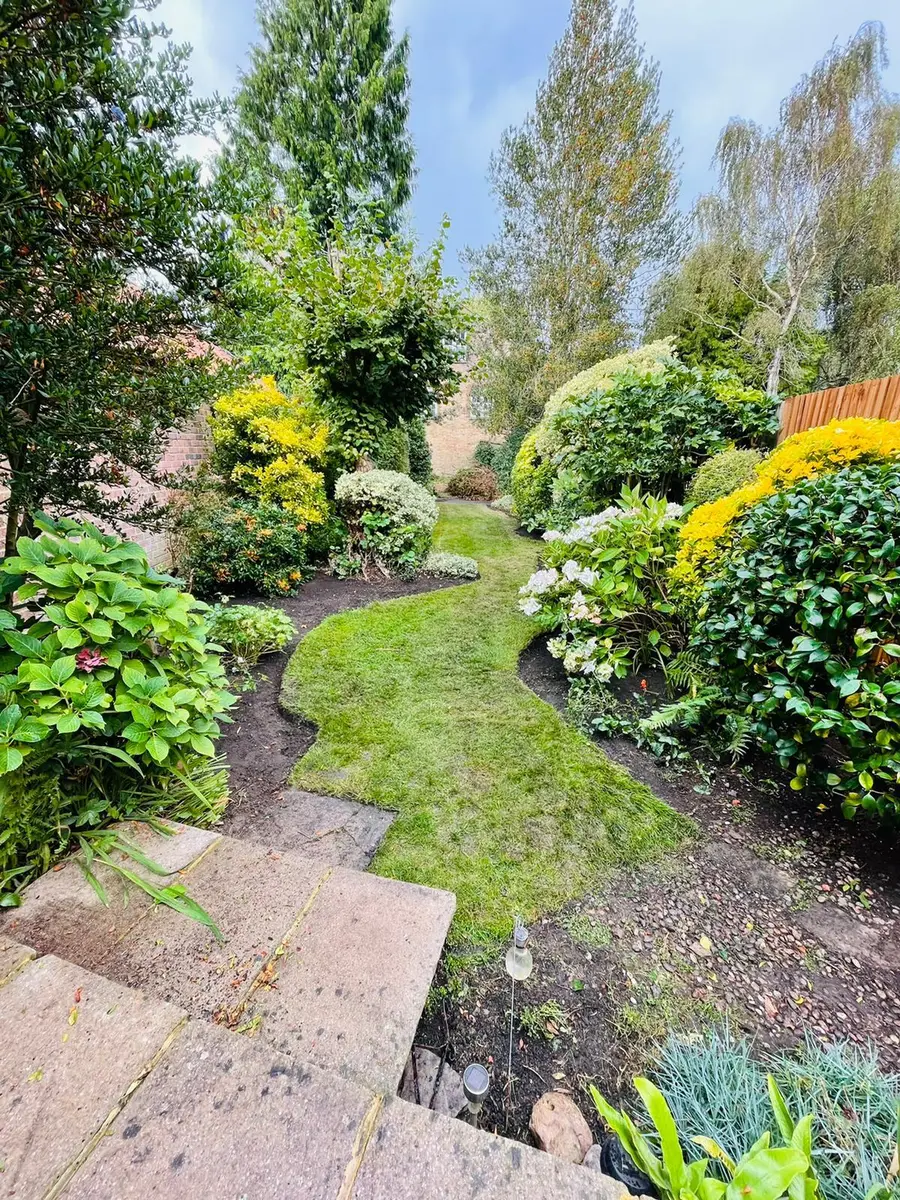 A curving lawn path winding between deep mixed borders and mature flowering shrubs