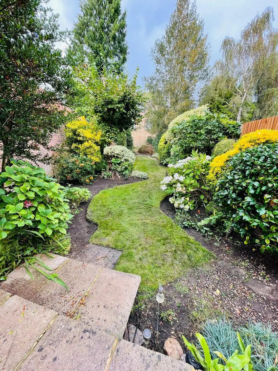 A curving lawn path winding between deep mixed borders and mature flowering shrubs