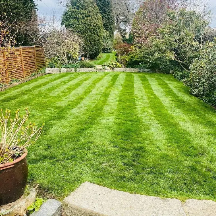 A striped lawn rising to a low stone retaining wall with mature shrubs and trees behind