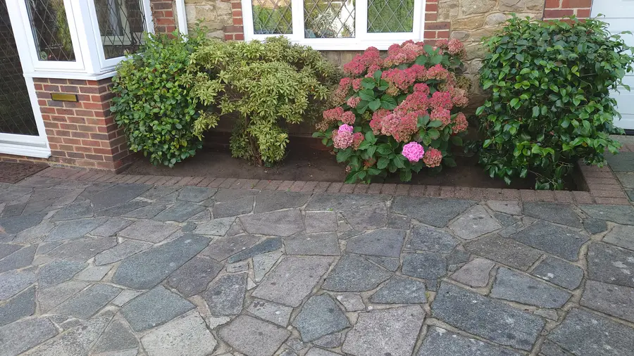 Natural stone paving laid in an irregular pattern beside a border of shrubs and a pink hydrangea