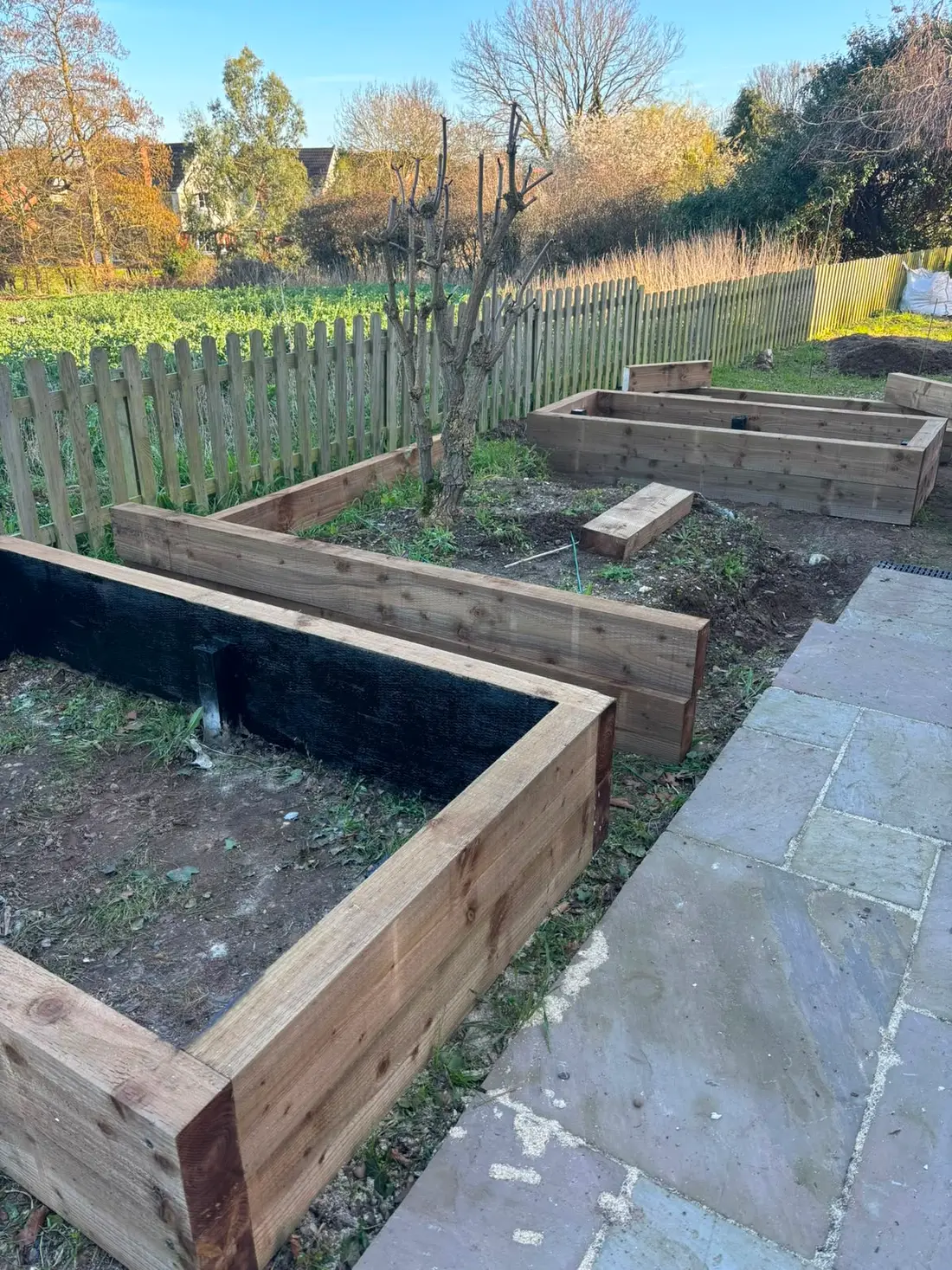 Three timber raised beds set out on a cleared plot beside a picket fence and paved path